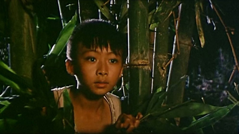 恐怖的鬼森林